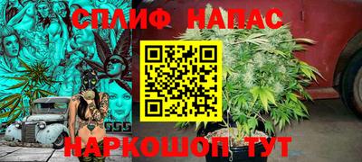 mdpv Гусь-Хрустальный
