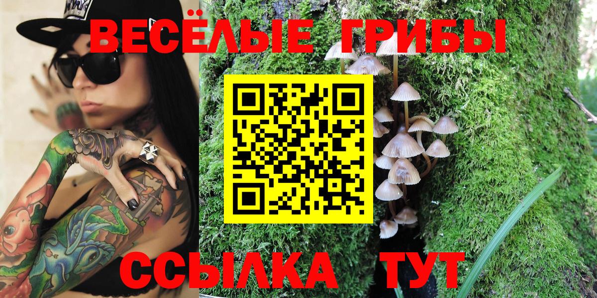 Мыски  Галлюциногенные грибы MAGIC MUSHROOMS  Вход с VPN  Псилоцибиновые грибы Psilocybe 